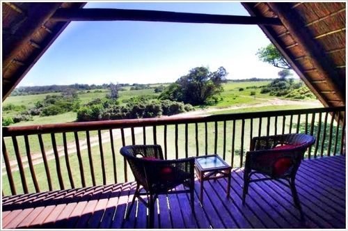 Kragga Kamma Game Park Hotell Port Elizabeth Exteriör bild