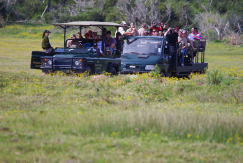 Kragga Kamma Game Park Hotell Port Elizabeth Exteriör bild