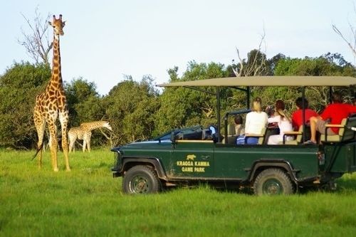 Kragga Kamma Game Park Hotell Port Elizabeth Exteriör bild