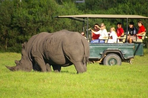 Kragga Kamma Game Park Hotell Port Elizabeth Exteriör bild