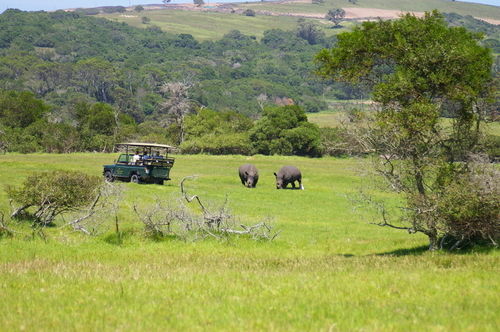 Kragga Kamma Game Park Hotell Port Elizabeth Exteriör bild