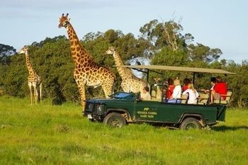 Kragga Kamma Game Park Hotell Port Elizabeth Exteriör bild
